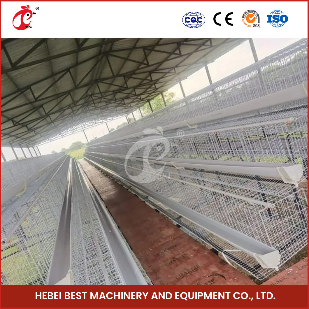 China Raised Baby Chicken Coop A Type Pullet House Supplier Centrally Adjust Waterline Design Pullet Eggs Cage