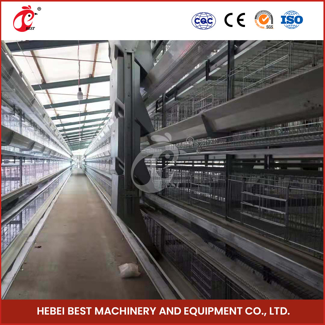 China Pullet Chicken Cage H Type Pullet Coop Long-Lasting Features Large Wooden Pullet Chicken Coop