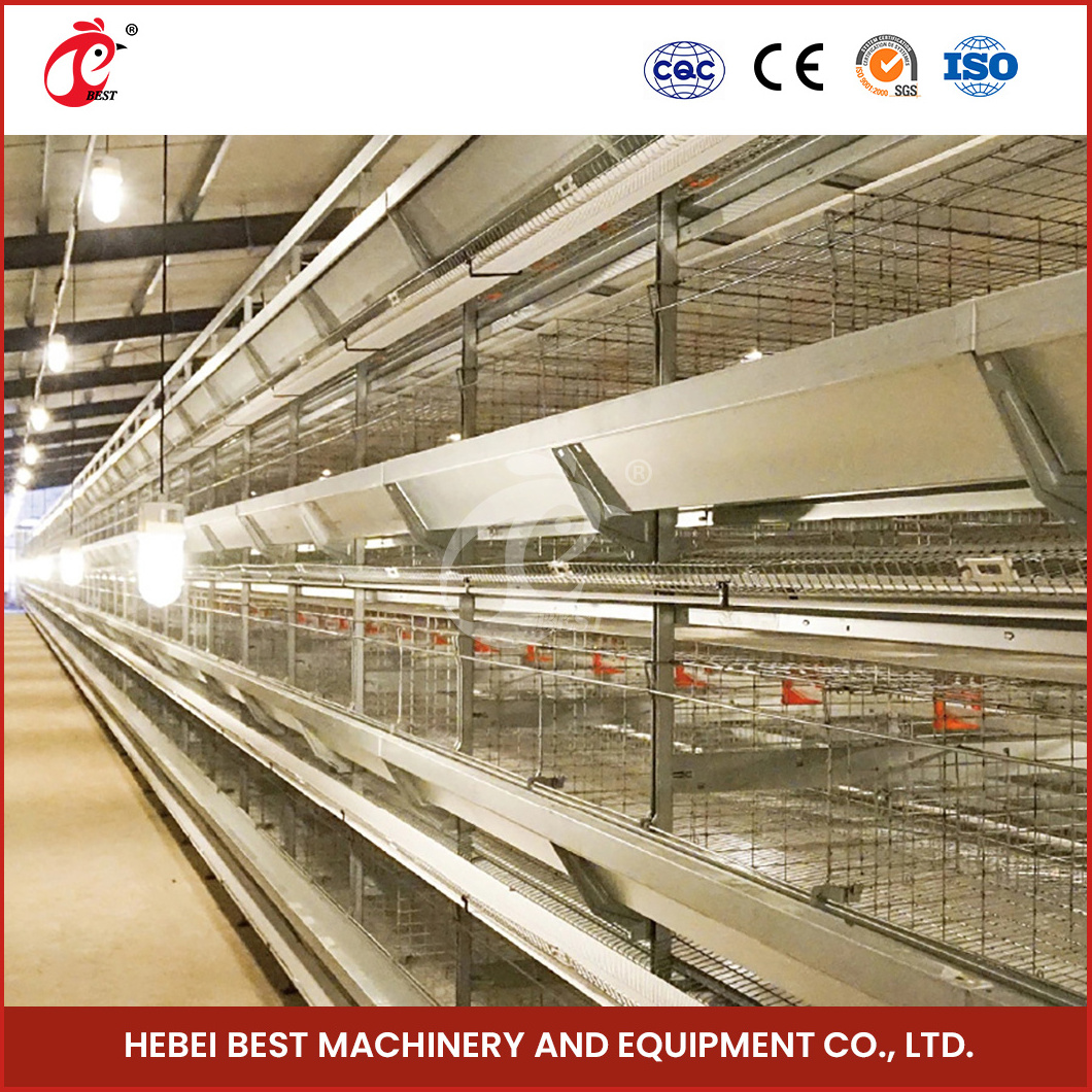 China Pullet Chicken Cage H Type Pullet Coop Long-Lasting Features Large Wooden Pullet Chicken Coop