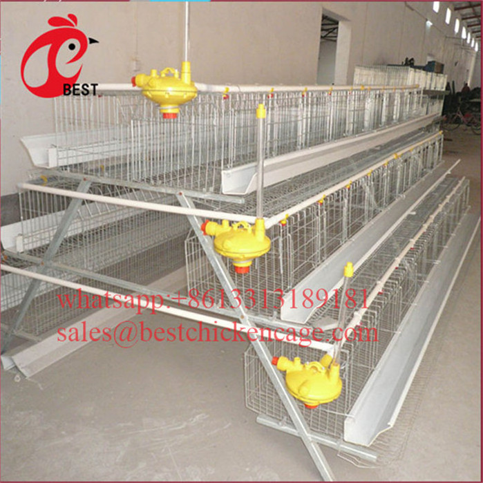 newly designed 3tiers h type broiler cages galvanized a frame 3 tiers chicken cage from poul tech poultry breeding machine