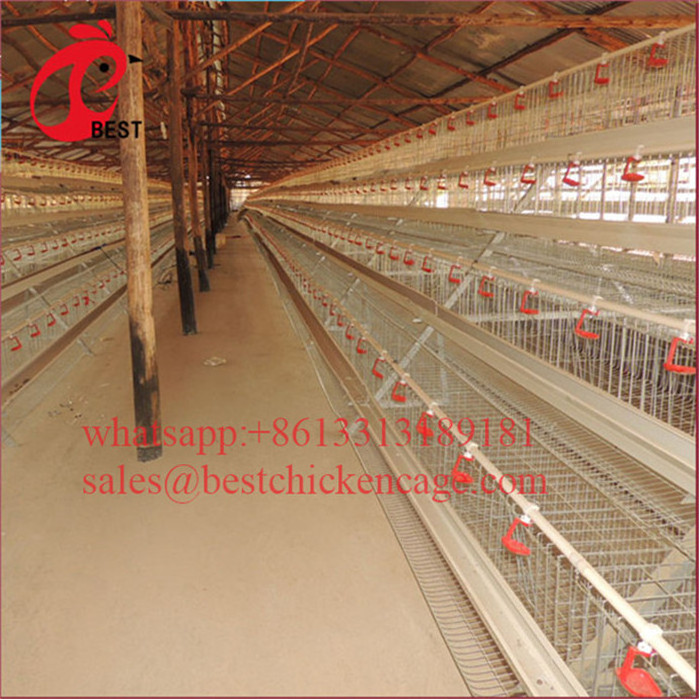 newly designed 3tiers h type broiler cages galvanized a frame 3 tiers chicken cage from poul tech poultry breeding machine