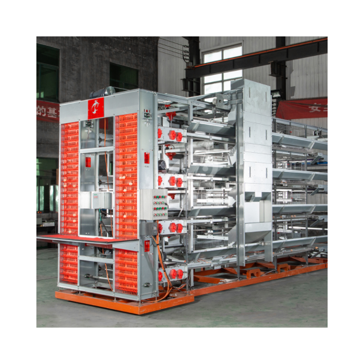 Automatic Chicken Cage With Conveyor Belt Galvanized Chicken Cages Layer Chicken