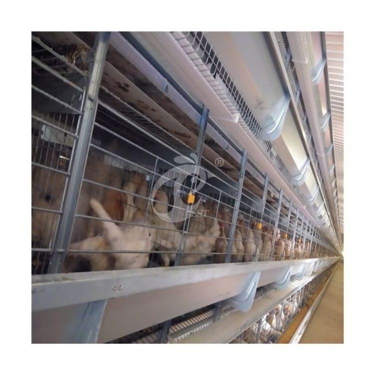 Broiler Cages For 1000 Birds Broiler Chicken Cage System Battery Poultry Meat Broiler Chick Brooder Cage