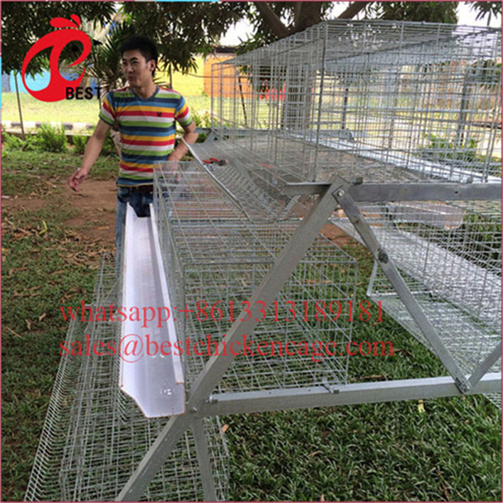 Professional cheap poultry houses manufacture of chick brooding cage galvanized raising broiler chicken equipment from China