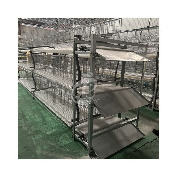 Semi Automatic Manure Conveyor Belt Chicken Cages