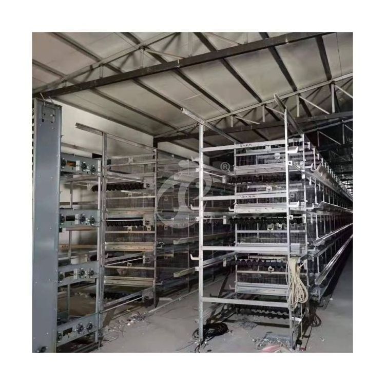 Broiler Cages For 1000 Birds Broiler Chicken Cage System Battery Poultry Meat Broiler Chick Brooder Cage