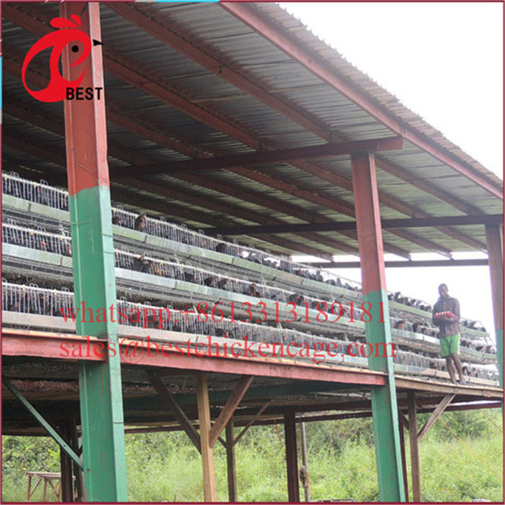 newly designed used coop for chickens animal chicken house 2.15m poultry equipment with great price