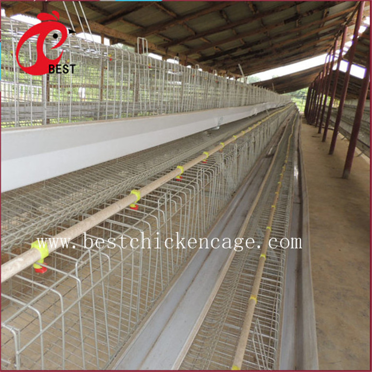 Hot sale 5 tier 200 birds laying hens hebei broiler chicken cage automatic for wholesales