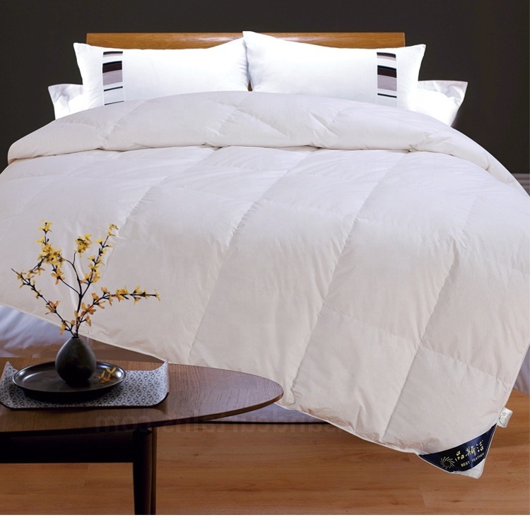 Wholesale luxury soft comfortable cotton fabric silk filling silk duvet silk comforter