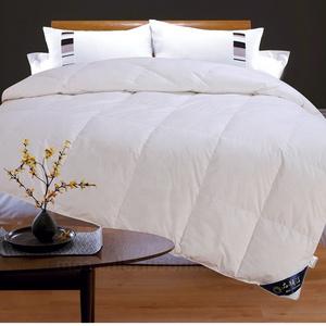 Wholesale luxury soft comfortable cotton fabric silk filling silk duvet silk comforter