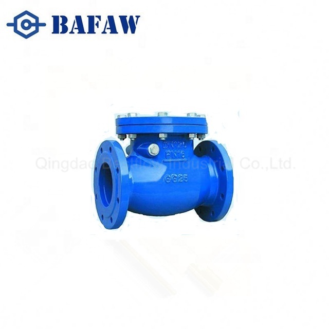 High Pressure 3 Inch Carbon Steel ANSI Standard Ductile Iron Non Return Swing Check Valve