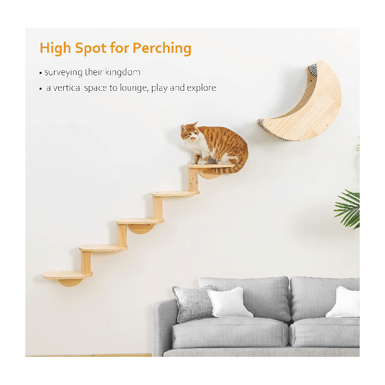 Cat Shelf for Wall Mount Hammock with 5-Levels Climbing Ladder Moon Cat Climbing Set