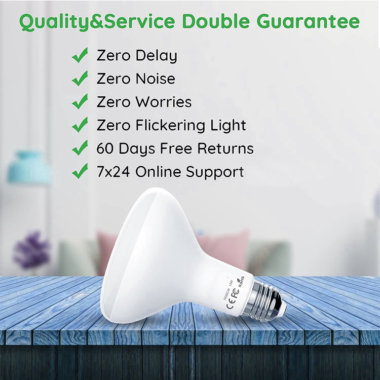 Color Changing WIFI Voice Control Smart Light Bulbs