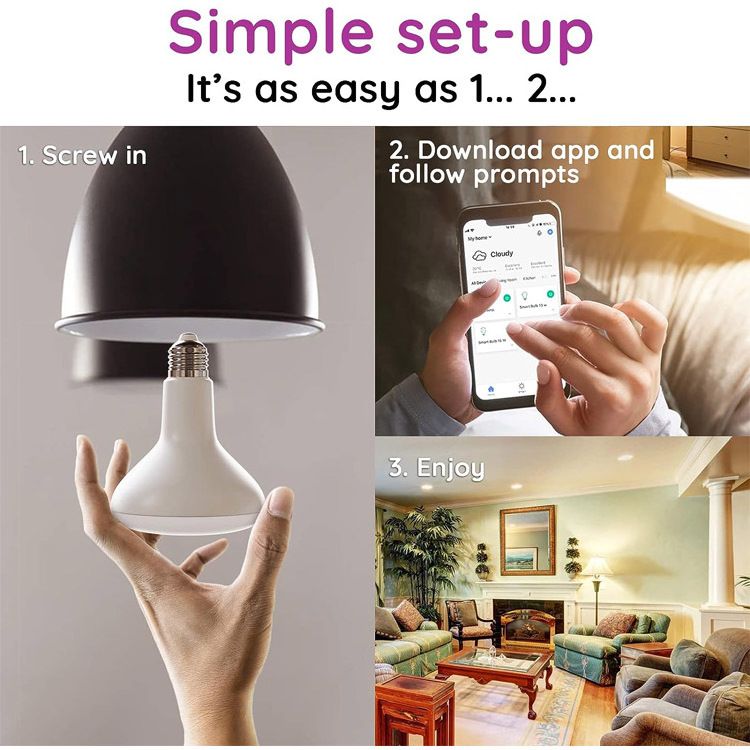 Color Changing WIFI Voice Control Smart Light Bulbs