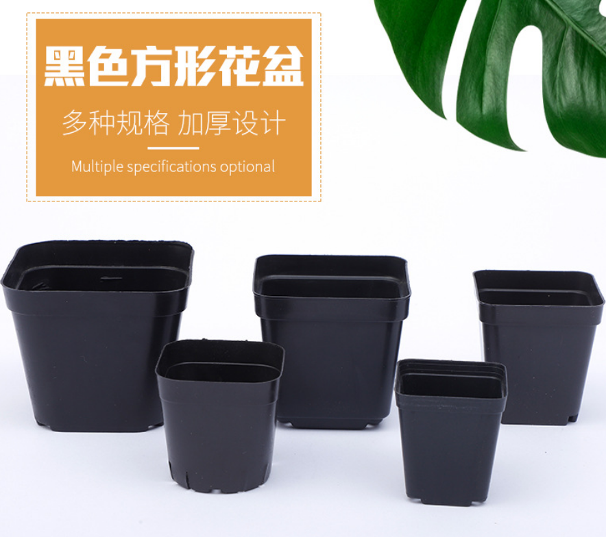 Cheap Square 5.5cm 6cm 7cm 9cm 10cm best small black square flower seeding pot for succulent plants plastic plant nursery pot