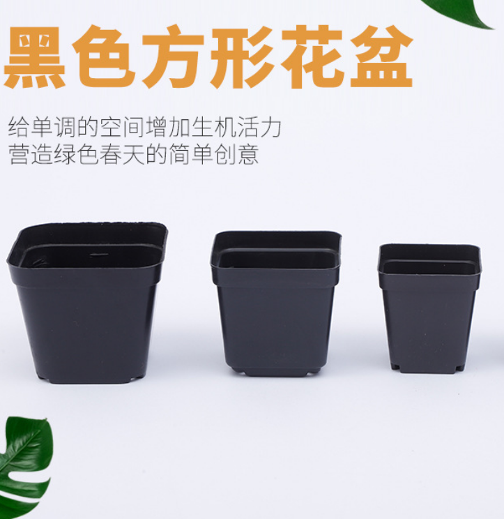 Cheap Square 5.5cm 6cm 7cm 9cm 10cm best small black square flower seeding pot for succulent plants plastic plant nursery pot