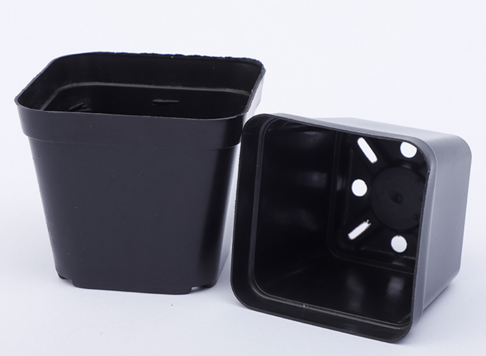 Cheap Square 5.5cm 6cm 7cm 9cm 10cm best small black square flower seeding pot for succulent plants plastic plant nursery pot