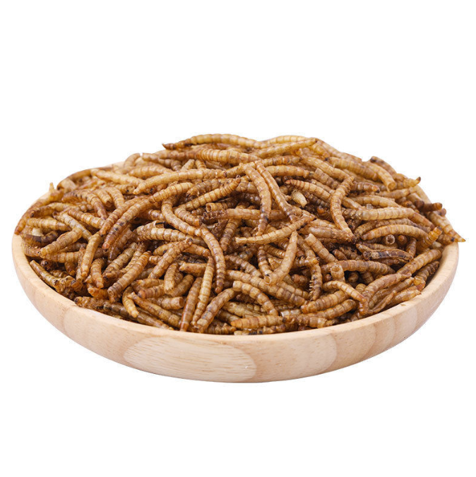 High Protein Dried Mealworm Dried for Small Pet Food