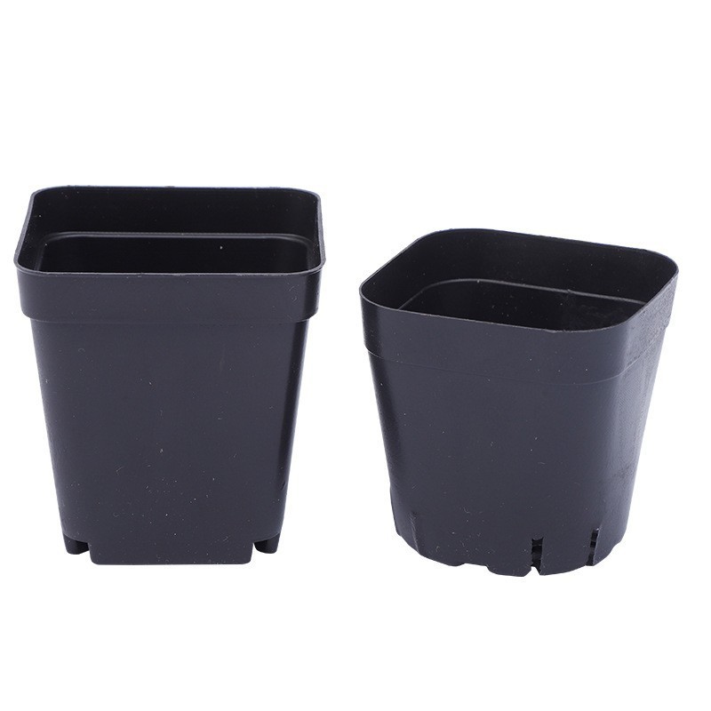 Cheap Square 5.5cm 6cm 7cm 9cm 10cm best small black square flower seeding pot for succulent plants plastic plant nursery pot