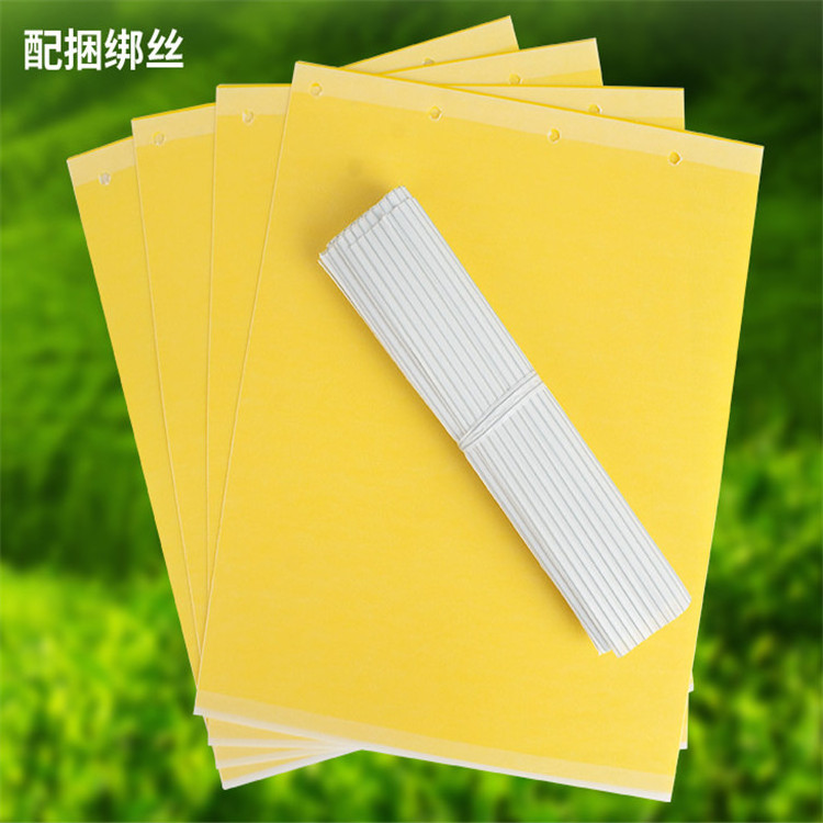 Customized Yellow/Blue Plastic Sticky Fruit Fly Trap Various Sizes Insect Bugs Glue Board Cheap Price Pesticide Birds Spray