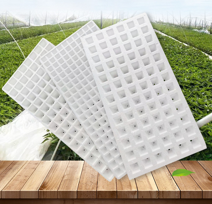 Floating foam board water planting tray white foam hydroponics seedling tray vegetable herbal tobacco grow tray