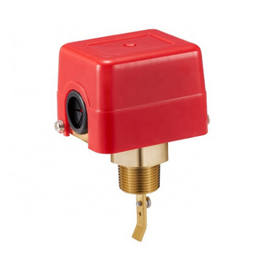 High Quality Brass Stainless Steel Thread Connection Paddle Water Flow Switch BJ52004