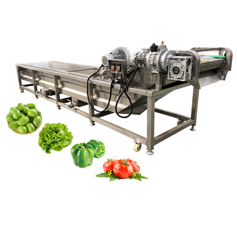 Widely Used Mango Citrus Avocado Fruit Sterilizing Bubble Washing Waxing Grading Processing Machine