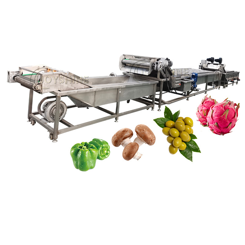 Widely Used Mango Citrus Avocado Fruit Sterilizing Bubble Washing Waxing Grading Processing Machine