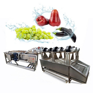 Automatic Dragon Fruit Strawberry Date Passion Mango Washer Dried Fruit Fig Corn Kernel Washing Machine