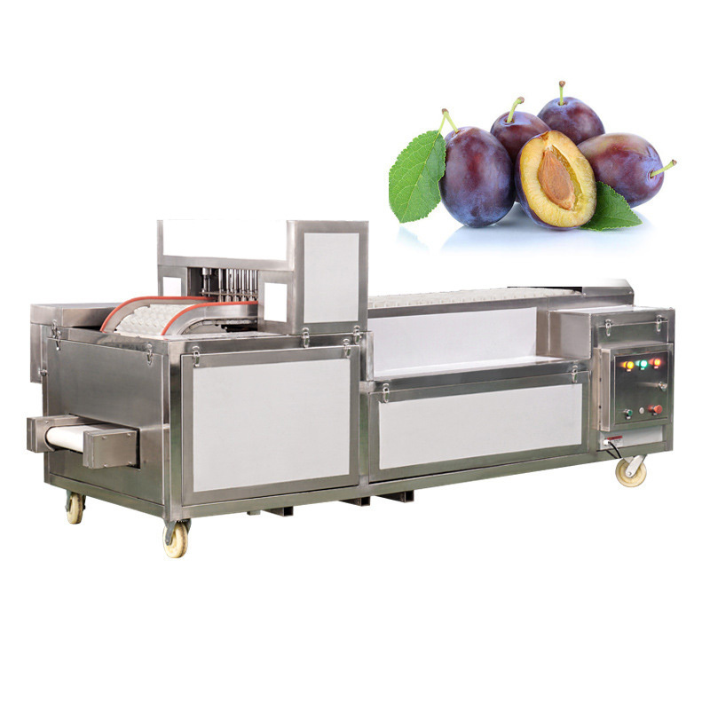 Electric Automatic Grape Seeds Remover Olive Pitting Cutter Cherry Pitting Machine