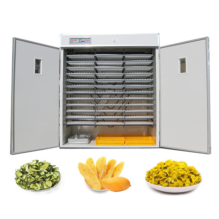 Hot Selling Dry Stick Noodle Fruit Black Berry Flower Fig  Chilli Machine Drying Equipment Food Dryer