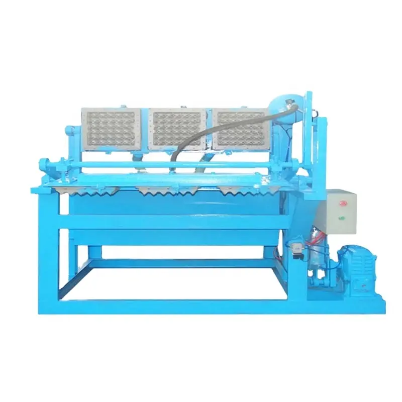 Beston Group BTF1-3 800 - 1000 pcs/h Paper Egg Tray Making Machine Shipped to Congo