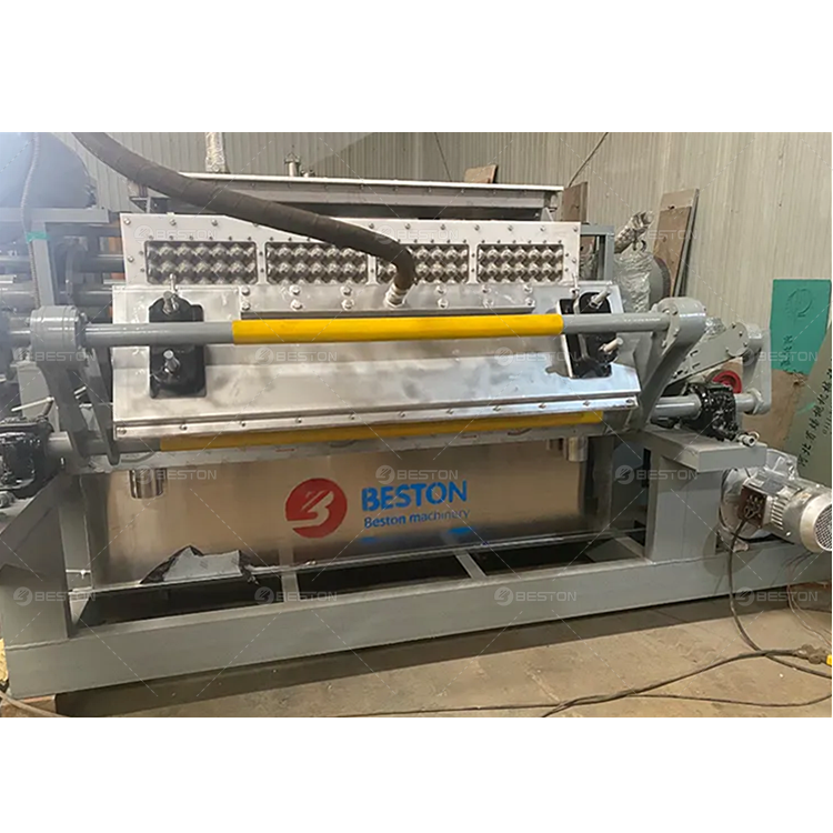 Beston Group 2500 ~ 3000 pcs/h Paper Pulp Molding Production Line Fully Automatic Lunch Box Manufacturing Machines