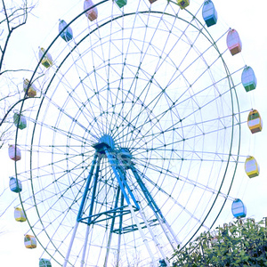 Outdoor Theme Park Ride Ferris Wheel Customized 20-180M Ferris Wheel Ride For Sale