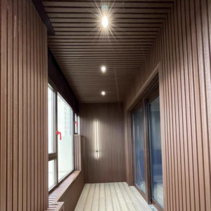 Bestoo Outdoor Wood Plastic Wall Panel / WPC Wall Panel clad/Exterior Wall Covering