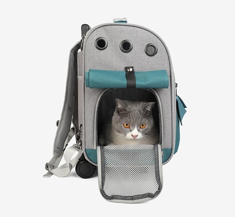 Foldable Extendable Wheeled Trolley Cat Bag Large Oxford Dog Backpack Pet Carrier 2 in 1 Modern Solid Dog Car Seat with Zipper