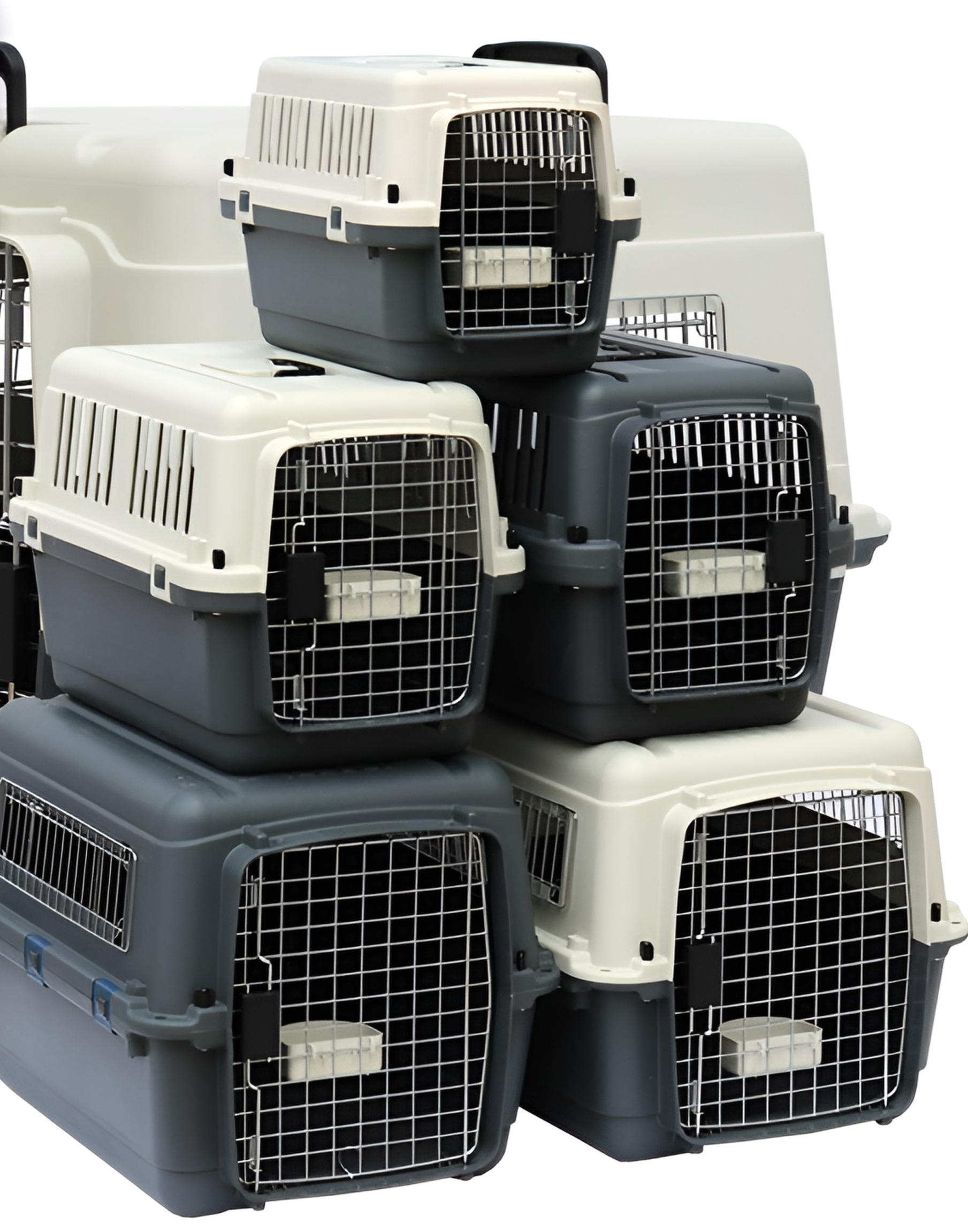 Wholesale IATA Plastic Airline Shipping Approved Dog Transport Box Pet Cages Bag Carrier And Travel Crates Kennel