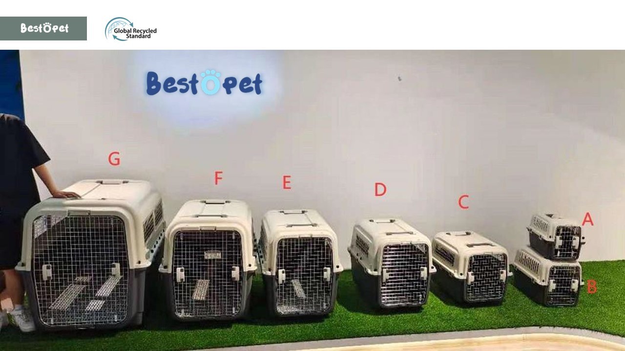 Wholesale IATA Plastic Airline Shipping Approved Dog Transport Box Pet Cages Bag Carrier And Travel Crates Kennel