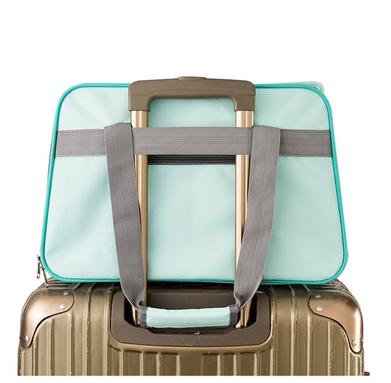 Portable Airline Approved Versatile Pet Carrier: Airline Approved, Breathable with Dual-Opening Mesh Design