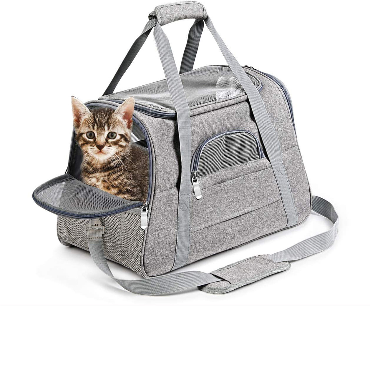 Mountain Land Airline Approved Pet Carrier Bag for Small Cat and Dog  Soft Sided Collapsible Portable Travel Carrier