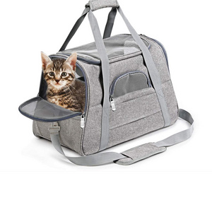 Mountain Land Airline Approved Pet Carrier Bag for Small Cat and Dog  Soft Sided Collapsible Portable Travel Carrier