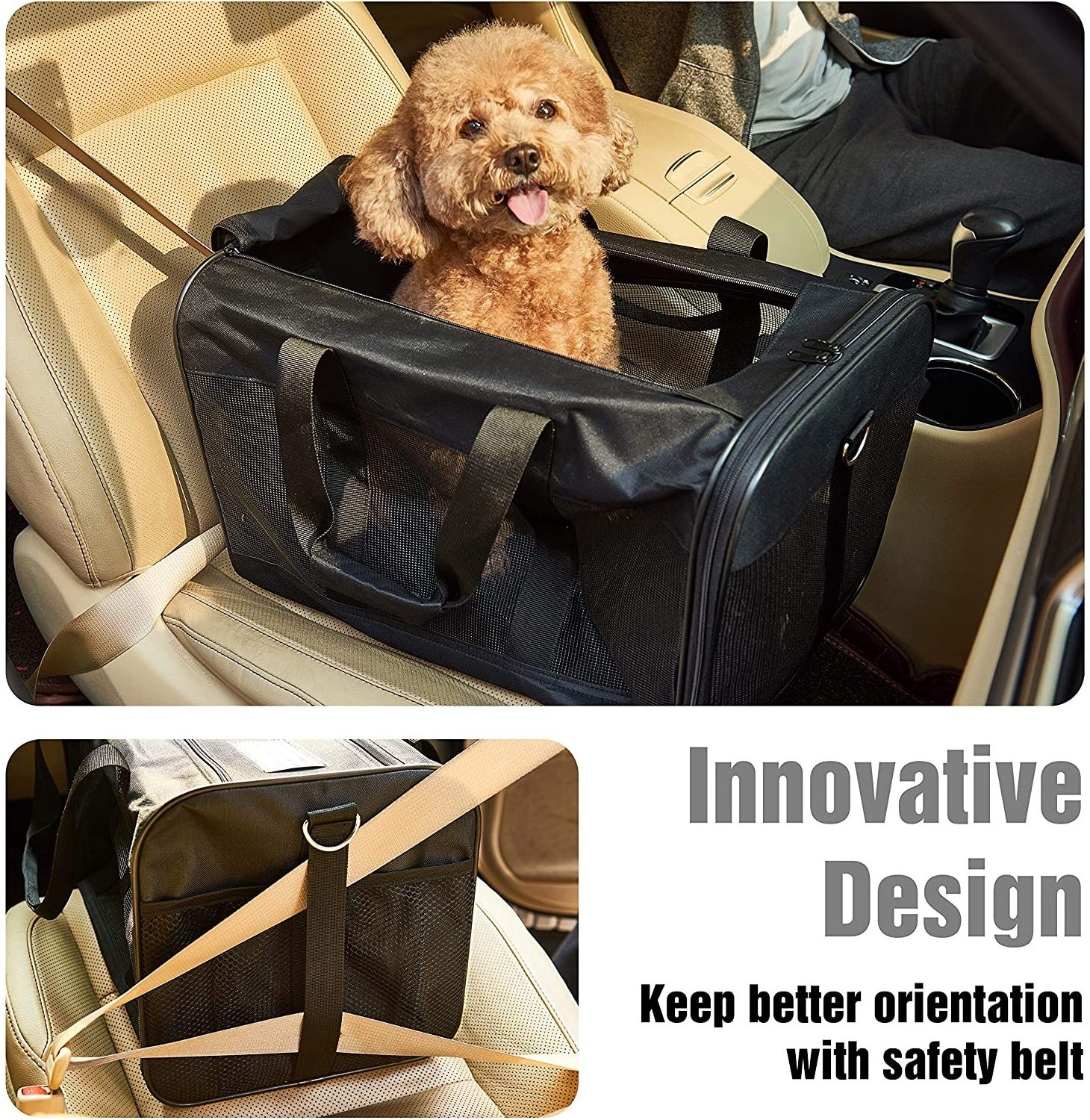 Mountain Land Hot Sale Pet Carrier Wholesale Custom Fashion Foldable Pet Carrier for Dog Cat High Quality