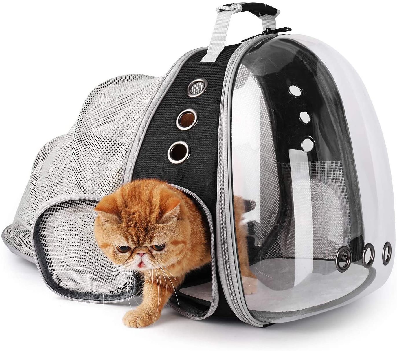 Airline Approved Transparent Ventilate  Pet Carrier   Backpack Bag for Dog Cat Small Animals Lightweight Breathable