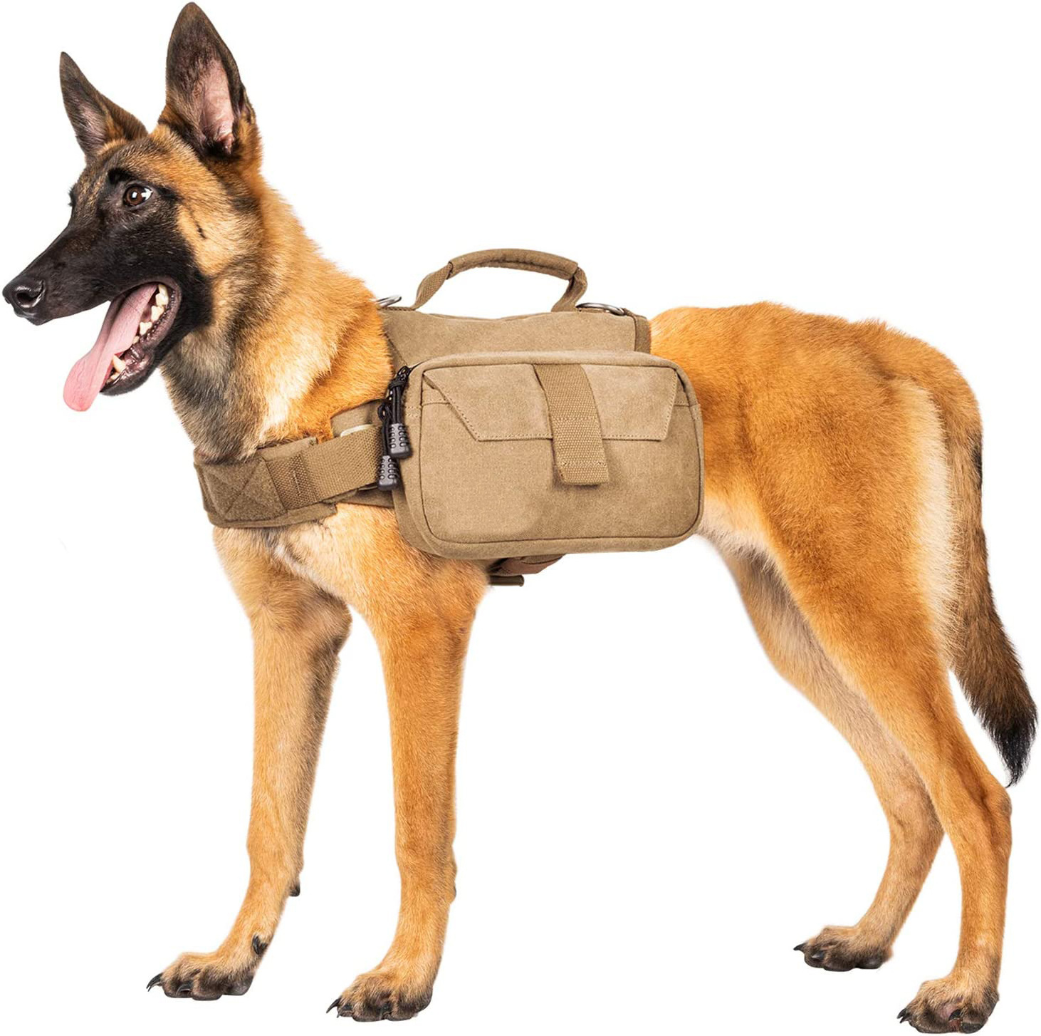 Custom Dog Pack Hound Travel Camping Hiking Backpack Saddle Bag Rucksack for Medium & Large Dog