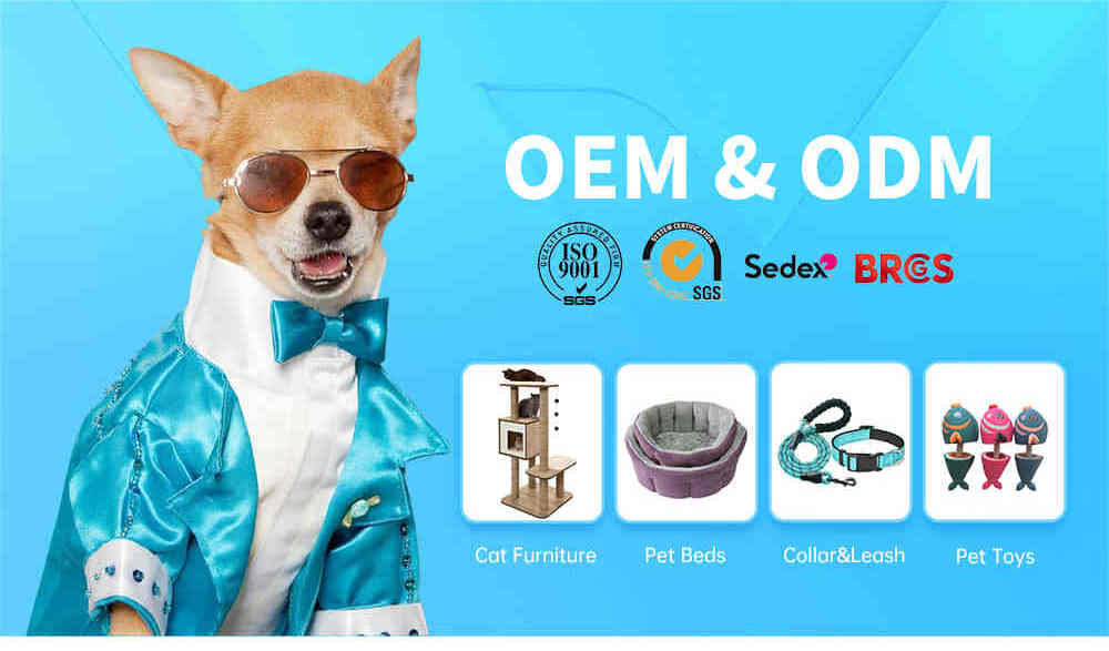 Heated dog leash new arrivals