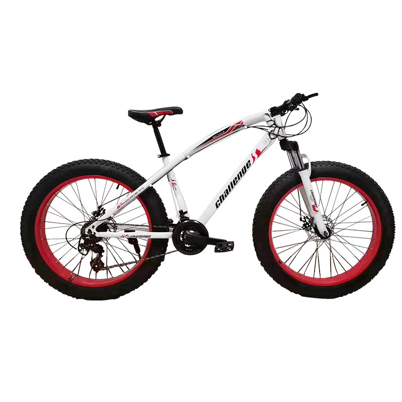 Fat Tire MTB  26 inches 21 speed Snow bike 24 speed  Beach Bicycle 27 speed whole sale mountain Bike