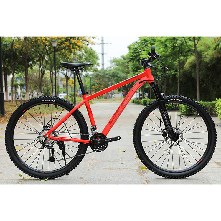 China cheap price teenager Christmas gift Look cool mountain bike titanium mountain bike frame