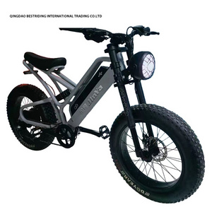 New Style Electric Bike 48v 500w Motor Ebike 2 Wheel 20 Inch Fat Tire Electric Bicycle