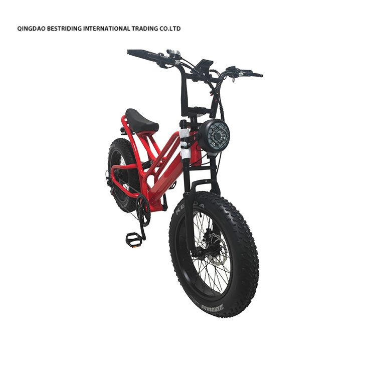 New Style Electric Bike 48v 500w Motor Ebike 2 Wheel 20 Inch Fat Tire Electric Bicycle