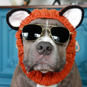 Wholesale Warm Cute Knitted Hat For Dogs French Bulldog Hat Cat Dog Halloween Accessories